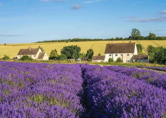 Lotties Cottage
